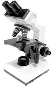 BINOCULAR MICROSCOPE BINOCULAR MICROSCOPE