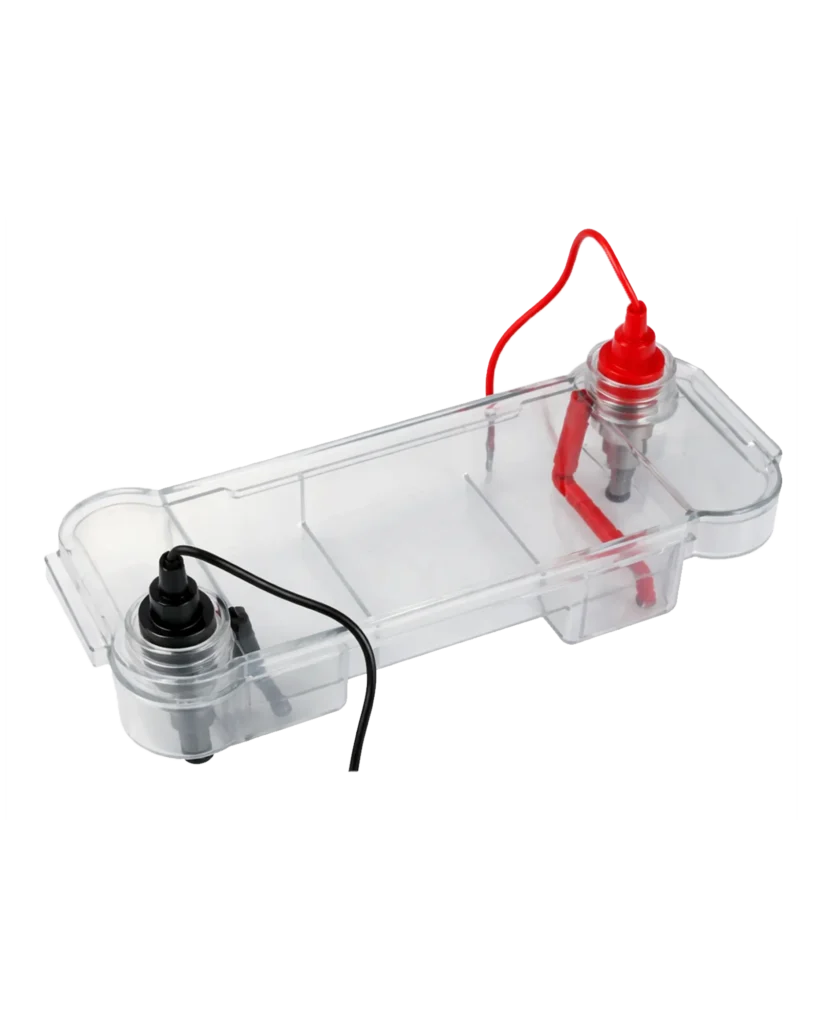 Horizontal Gel Electrophoresis