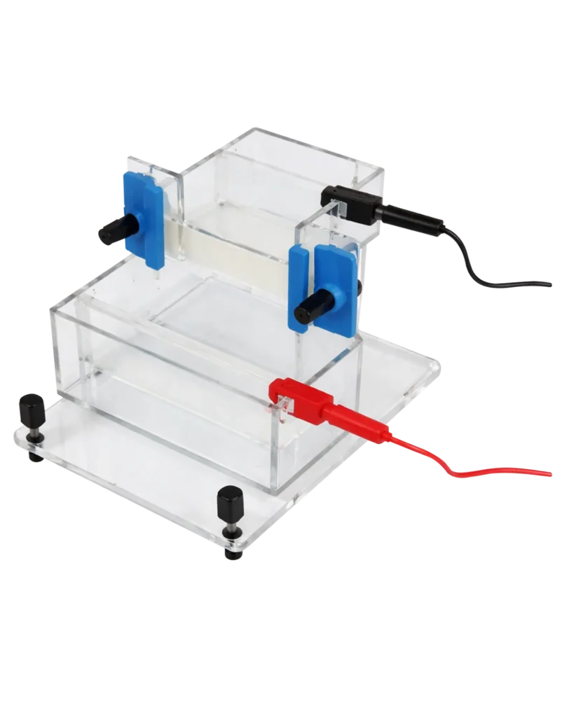 Vertical Gel Electrophoresis